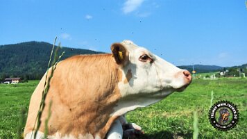 berchtesgaden_koenigsee_inzell20062022 (8)_JPG