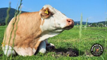 berchtesgaden_koenigsee_inzell20062022 (9)_JPG