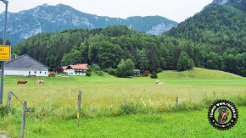 falkensteinrundeinzell22062022 (14)_JPG