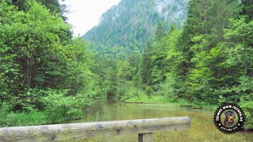 falkensteinrundeinzell22062022 (25)_JPG