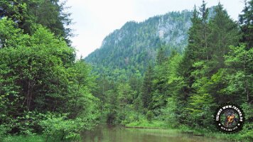 falkensteinrundeinzell22062022 (26)_JPG