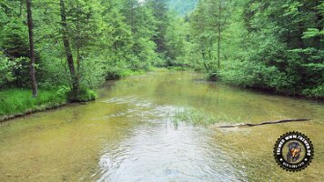 falkensteinrundeinzell22062022 (27)_JPG