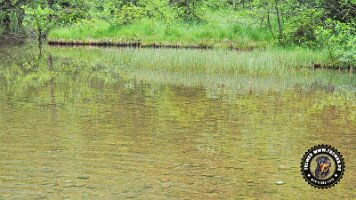 falkensteinrundeinzell22062022 (28)_JPG