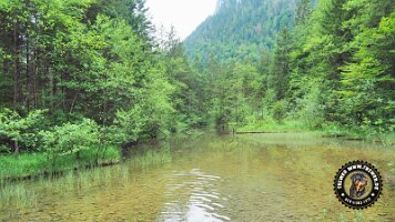 falkensteinrundeinzell22062022 (29)_JPG