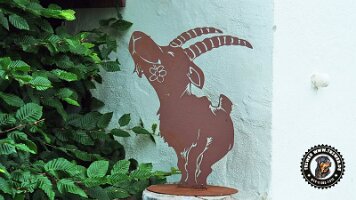 falkensteinrundeinzell22062022 (3)_JPG