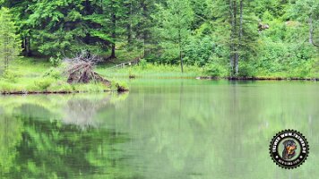 falkensteinrundeinzell22062022 (31)_JPG