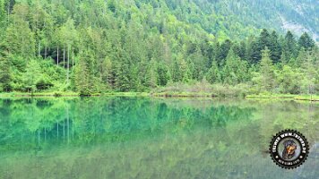 falkensteinrundeinzell22062022 (32)_JPG