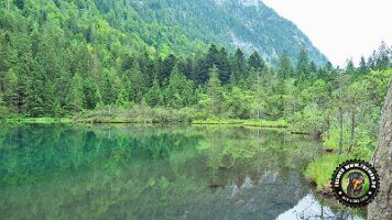 falkensteinrundeinzell22062022 (33)_JPG