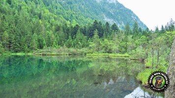 falkensteinrundeinzell22062022 (34)_JPG