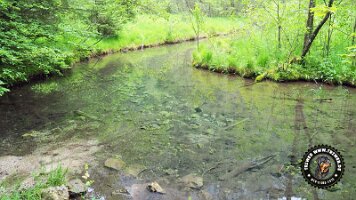 falkensteinrundeinzell22062022 (37)_JPG