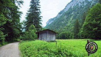 falkensteinrundeinzell22062022 (38)_JPG