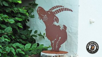 falkensteinrundeinzell22062022 (4)_JPG