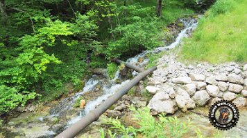 falkensteinrundeinzell22062022 (40)_JPG