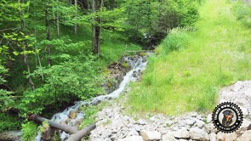 falkensteinrundeinzell22062022 (41)_JPG