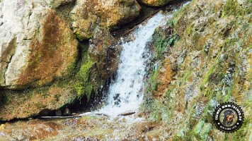 falkensteinrundeinzell22062022 (42)_JPG