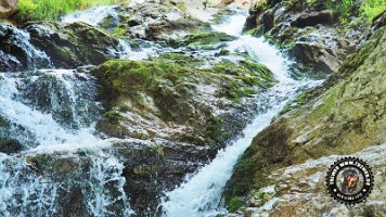 falkensteinrundeinzell22062022 (43)_JPG