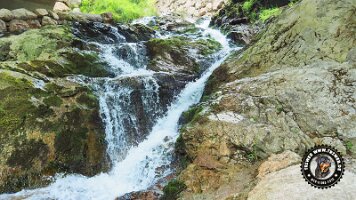 falkensteinrundeinzell22062022 (44)_JPG