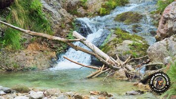 falkensteinrundeinzell22062022 (45)_JPG