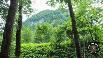 falkensteinrundeinzell22062022 (46)_JPG