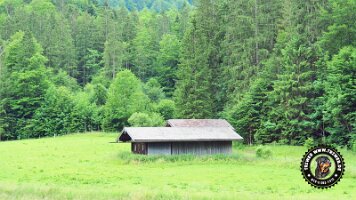 falkensteinrundeinzell22062022 (52)_JPG