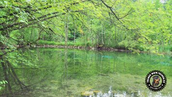 falkensteinrundeinzell22062022 (53)_JPG