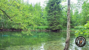 falkensteinrundeinzell22062022 (54)_JPG