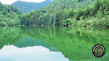 falkensteinrundeinzell22062022 (58)_JPG