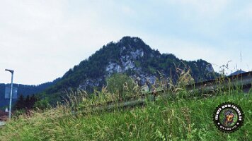 falkensteinrundeinzell22062022 (68)_JPG