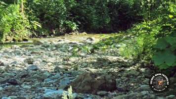 frillensee19062022 (100)_JPG