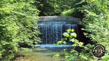 frillensee19062022 (102)_JPG