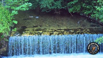 frillensee19062022 (123)_JPG