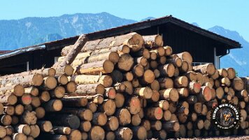 frillensee19062022 (124)_JPG