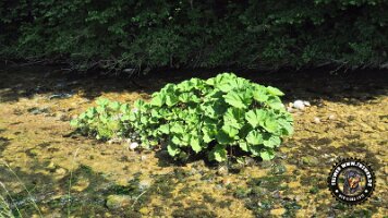 frillensee19062022 (127)_JPG