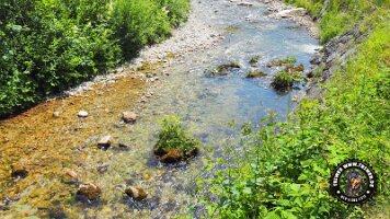 frillensee19062022 (16)_JPG