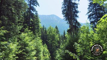 frillensee19062022 (30)_JPG