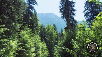 frillensee19062022 (31)_JPG