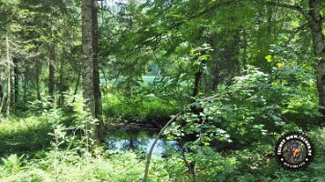 frillensee19062022 (33)_JPG