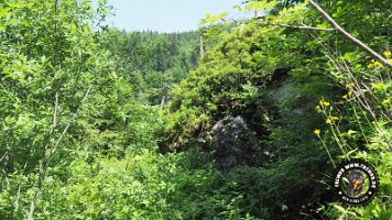 frillensee19062022 (37)_JPG