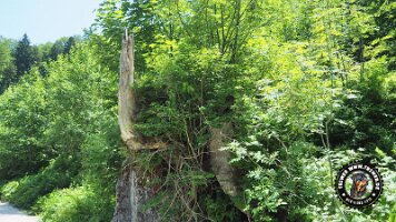 frillensee19062022 (39)_JPG