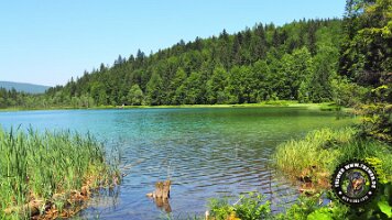 frillensee19062022 (43)_JPG