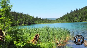 frillensee19062022 (44)_JPG