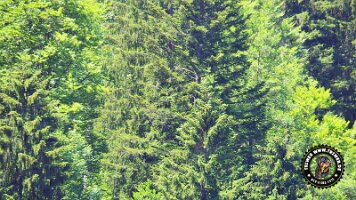 frillensee19062022 (46)_JPG