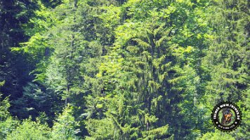 frillensee19062022 (47)_JPG