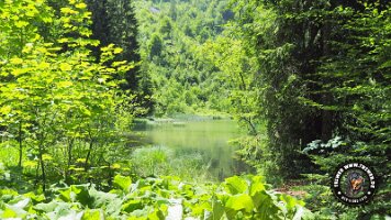 frillensee19062022 (49)_JPG