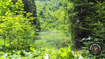 frillensee19062022 (50)_JPG