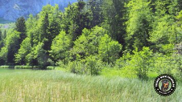frillensee19062022 (54)_JPG