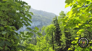 frillensee19062022 (77)_JPG
