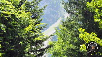 frillensee19062022 (80)_JPG