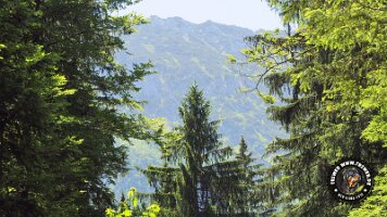 frillensee19062022 (81)_JPG