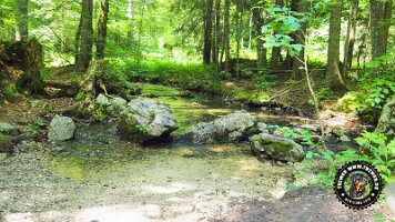 frillensee19062022 (82)_JPG